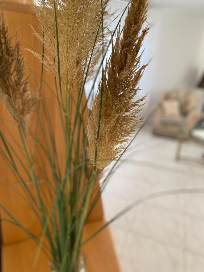 Traumzeit Apartment